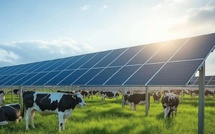 Le projet en quelques clés